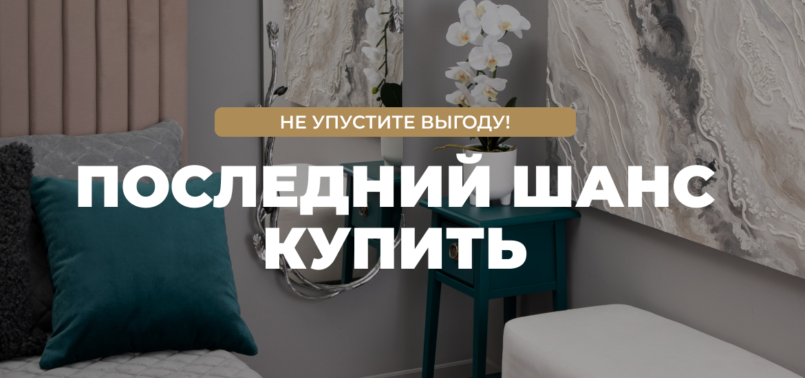 Последний шанс купить